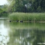 Чары и дым волжского острова