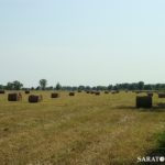 Чары и дым волжского острова