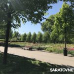 Как Москва поиздевалась над озеленением Саратова