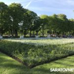Как Москва поиздевалась над озеленением Саратова