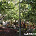Как Москва поиздевалась над озеленением Саратова