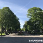 Как Москва поиздевалась над озеленением Саратова