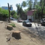 Благоустройство кладбищенского типа Благоустройство кладбищенского типа