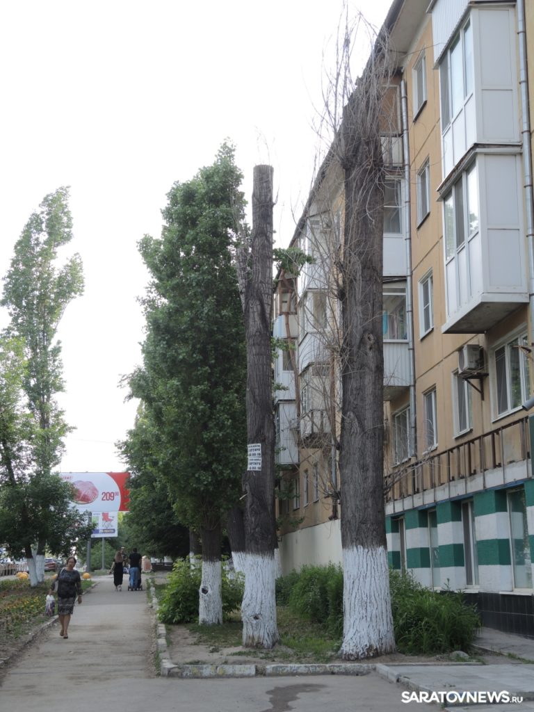 Благоустройство кладбищенского типа Благоустройство кладбищенского типа