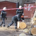 Благоустройство кладбищенского типа Благоустройство кладбищенского типа