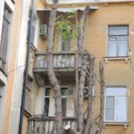 Благоустройство кладбищенского типа Благоустройство кладбищенского типа