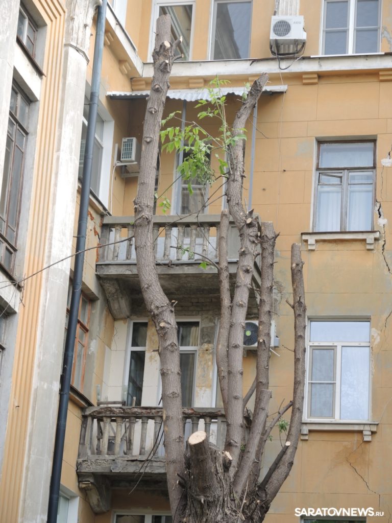 Благоустройство кладбищенского типа Благоустройство кладбищенского типа