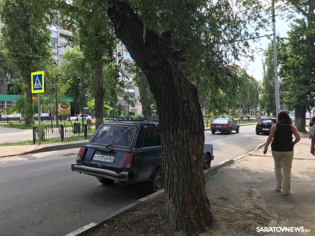 На Рахова решено сохранить два с половиной дерева из тридцати четырех На Рахова решено сохранить два с половиной дерева из тридцати четырех