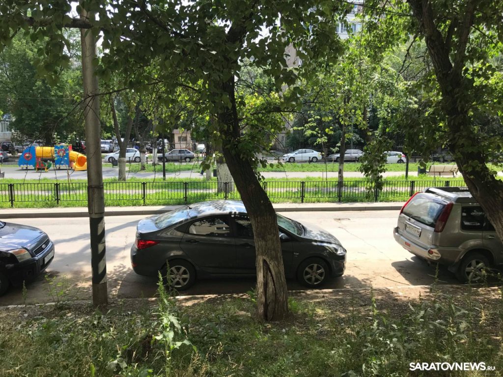 На Рахова решено сохранить два с половиной дерева из тридцати четырех На Рахова решено сохранить два с половиной дерева из тридцати четырех