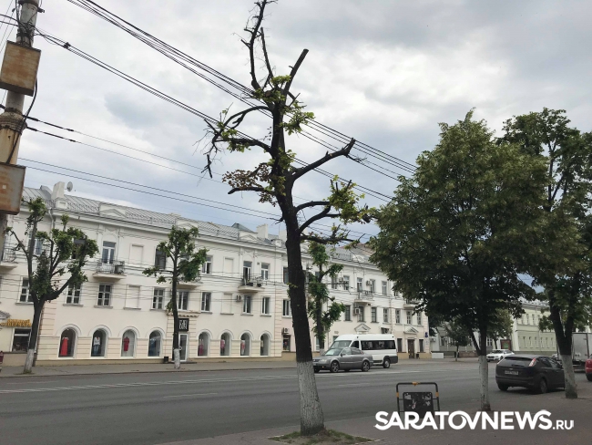 Саратов-Воронеж – сравнительное путешествие Саратов-Воронеж – сравнительное путешествие