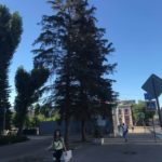Полет минирующей моли над Саратовом Полет минирующей моли над Саратовом