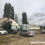О чем молчат полицейские кони О чем молчат полицейские кони