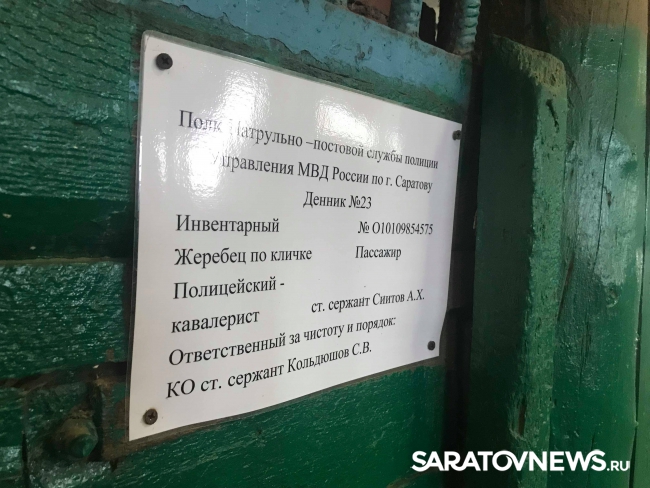 О чем молчат полицейские кони О чем молчат полицейские кони