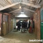 О чем молчат полицейские кони О чем молчат полицейские кони