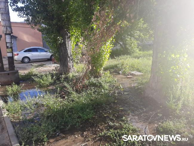 На проспекте 50 лет Октября в Саратове неделю течет вода из колодца На проспекте 50 лет Октября в Саратове неделю течет вода из колодца