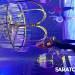 «Страшная сила» братьев Запашных в Саратовском цирке «Страшная сила» братьев Запашных в Саратовском цирке