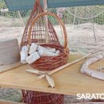 Укек: саратовцы ходили на ходулях, гадали на костях и вели раскопки древнего города Укек: саратовцы ходили на ходулях, гадали на костях и вели раскопки древнего города
