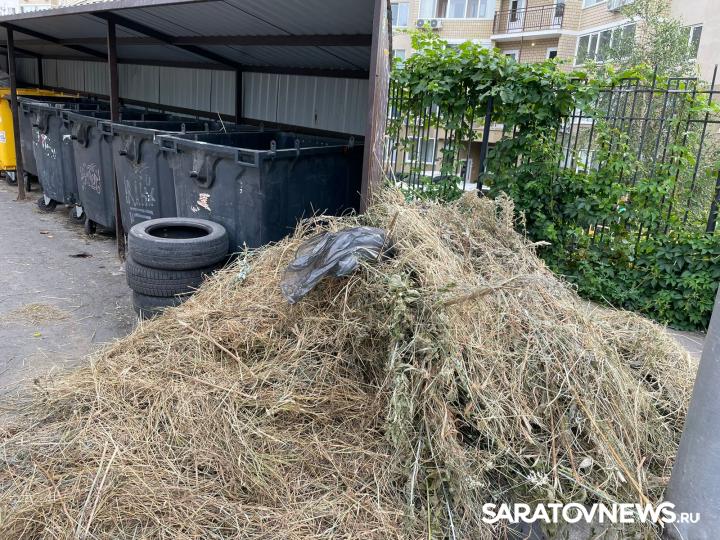 Саратовский регоператор напоминает порядок вывоза растительных отходов после субботников Саратовский регоператор напоминает порядок вывоза растительных отходов после субботников