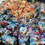 Школьники и детсадовцы региона собрали почти 2 млн пластиковых крышек для экоакции «Водорослям крышка!»