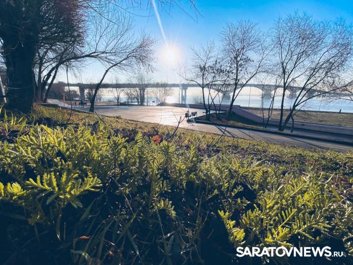 Более 50 тысяч саратовцев воспользовались бескомиссионным сервисом оплаты услуги по обращению с ТКО Более 50 тысяч саратовцев воспользовались бескомиссионным сервисом оплаты услуги по обращению с ТКО