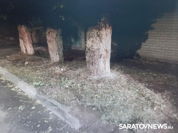 В Энгельсе «четверка» съехала с дороги и врезалась в дерево В Энгельсе «четверка» съехала с дороги и врезалась в дерево
