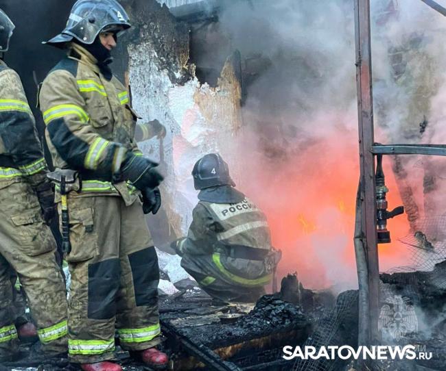 В горпарке Саратова на пожаре погибли животные В горпарке Саратова на пожаре погибли животные