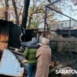 В горпарке Саратова на пожаре погибли животные В горпарке Саратова на пожаре погибли животные
