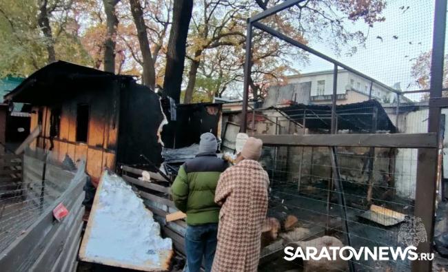 В горпарке Саратова на пожаре погибли животные В горпарке Саратова на пожаре погибли животные
