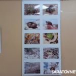 В Энгельсе открылась фотовыставка о городах и странах