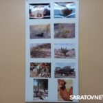 В Энгельсе открылась фотовыставка о городах и странах