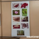 В Энгельсе открылась фотовыставка о городах и странах