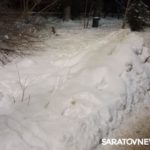 Коммунальщики уничтожают кустарник в сквере Октябрьского района Саратова