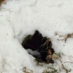 Жители Балакова обеспокоены провалом у многоэтажки Жители Балакова обеспокоены провалом у многоэтажки