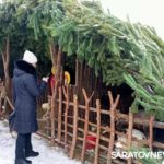Саратовцы празднуют рождественский Сочельник Саратовцы празднуют рождественский Сочельник