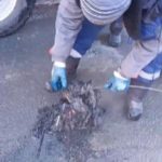 Работники МУП «Энгельс-Водоканал» продолжает извлекать мусор из канализации