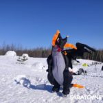 В Саратове построили поселок из Иглу