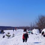 В Саратове построили поселок из Иглу