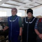 Личность. Руководитель. Лидер Личность. Руководитель. Лидер