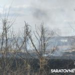 В саратовском поселке горят около трех гектаров травы и камыша