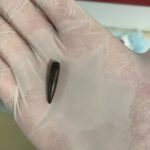 Энгельсский депутат приступил к работе в военном госпитале города Мариуполь Энгельсский депутат приступил к работе в военном госпитале города Мариуполь
