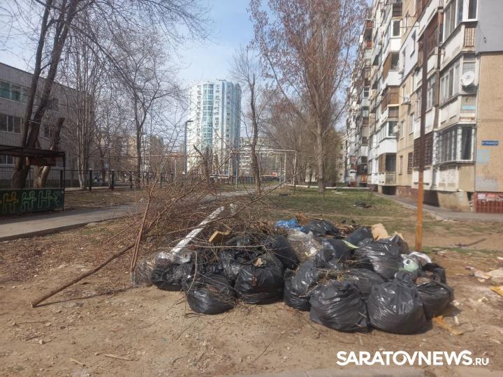 Саратовский регоператор фиксирует захламление площадок для ТКО древесно-растительными отходами Саратовский регоператор фиксирует захламление площадок для ТКО древесно-растительными отходами