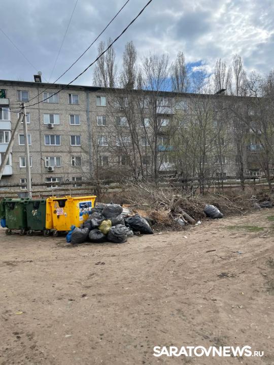 Саратовский регоператор фиксирует захламление площадок для ТКО древесно-растительными отходами Саратовский регоператор фиксирует захламление площадок для ТКО древесно-растительными отходами