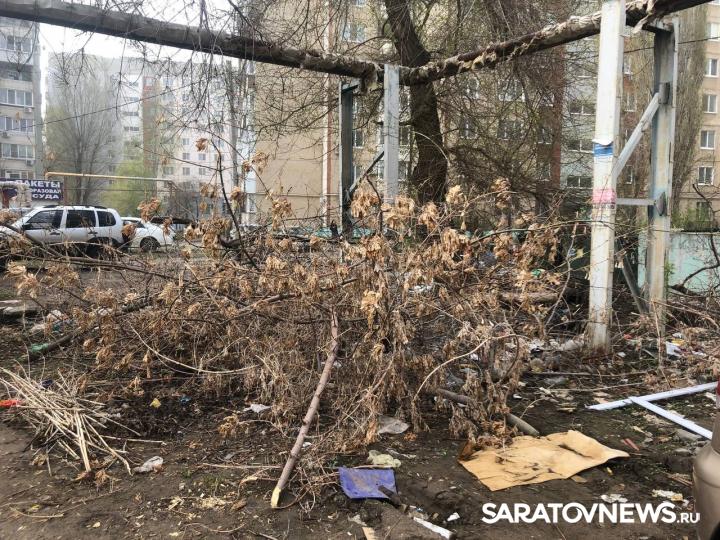 Саратовский регоператор фиксирует захламление площадок для ТКО древесно-растительными отходами Саратовский регоператор фиксирует захламление площадок для ТКО древесно-растительными отходами