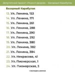 Опубликован список дворов для ремонта в Татищеве и Базарном Карабулаке