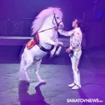 В Саратов приехал итальянский цирк… и не только В Саратов приехал итальянский цирк… и не только