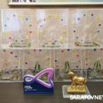 Саратовский горпарк получил высшую награду