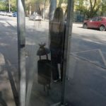На остановке «Бабушкин взвоз» выпадают стекла