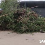 Саратовский регоператор напоминает правила вывоза строительных и древесных отходов Саратовский регоператор напоминает правила вывоза строительных и древесных отходов