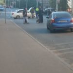 В Саратове автомобилист с собачкой попал в аварию