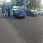 В Саратове автомобилист с собачкой попал в аварию